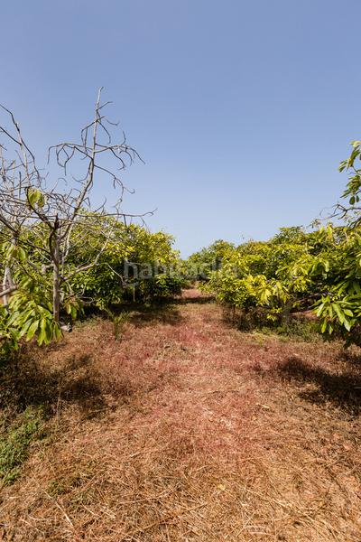 Foto c562fc36-e06e-4512-861a-ea8216b568a3. Casale con parcheggio in Tejina San Cristóbal de La Laguna