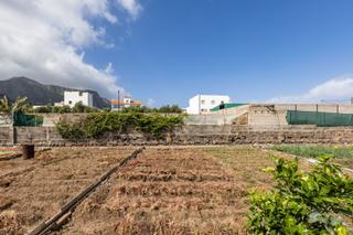 Terreny residencial a Buenavista del Norte. Dos parcelas con potencial agrícola