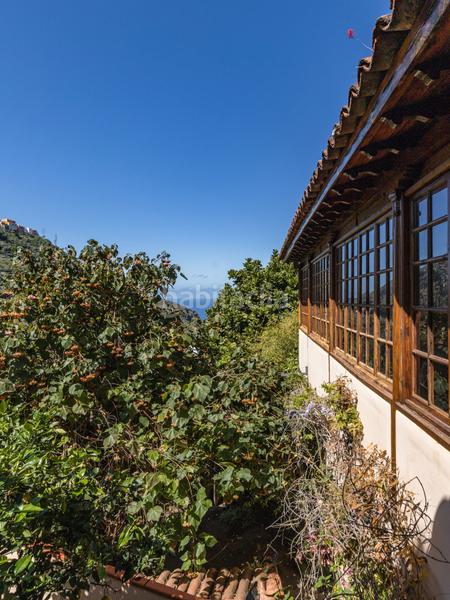 Foto a2a5f98a-72a5-4200-8b3a-f03c6b36adce. Casa con camino riscaldamento in Icod de los Vinos pueblo Icod de los Vinos