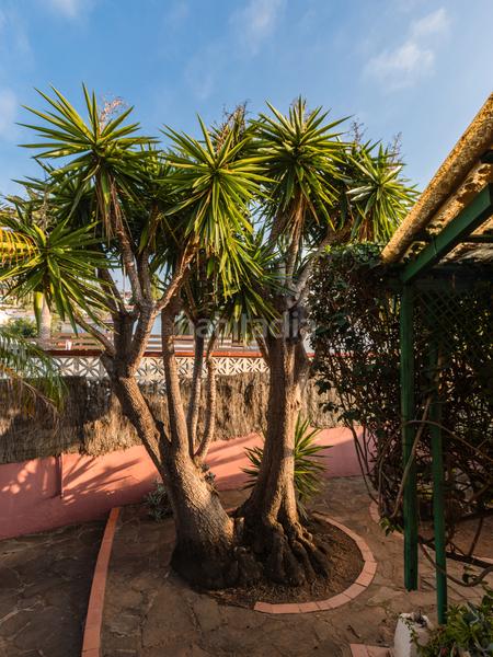 Foto 3609d365-07dd-4e60-8f19-2ea1cf49ec39. Maison avec parking piscine dans Sauzal (El)