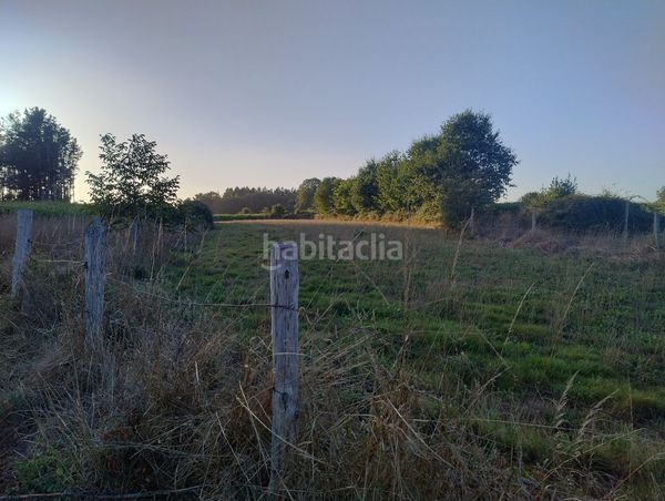 Foto 01d44ed8-4203-4c6a-af7c-bcfe580b1ec5. Finca rústica a lugar nadela 21 a Parroquias del Este Lugo