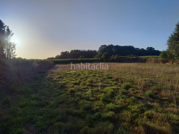 Foto bad32093-68db-4bf0-bb0a-584117b59207. Finca rústica a lugar nadela 21 a Parroquias del Este Lugo