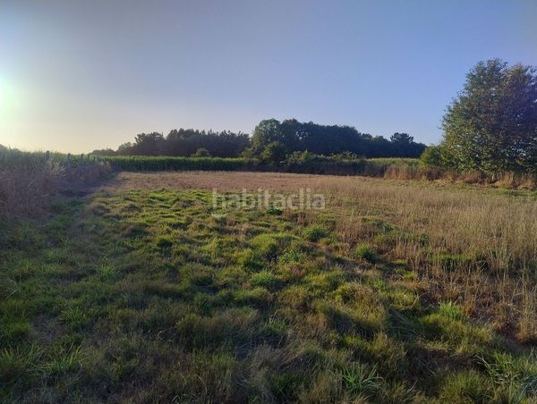 Foto c1eaedad-5f01-4909-9a6c-1858b801399c. Finca rústica a lugar nadela 21 a Parroquias del Este Lugo