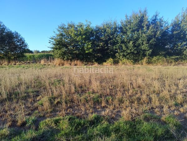 Foto cd068c9f-2531-4273-a1db-818e8eaafa84. Finca rústica a lugar nadela 21 a Parroquias del Este Lugo