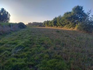 Rural plot in Lugar nadela 21. Terreno en venta en lugar nadela s/n, parroquias este, lugo