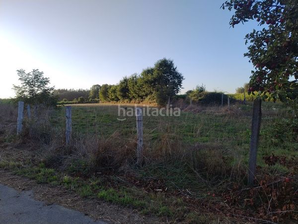 Foto df6ee3aa-b2fc-46ee-b7a4-f32af4270872. Finca rústica a lugar nadela 21 a Parroquias del Este Lugo