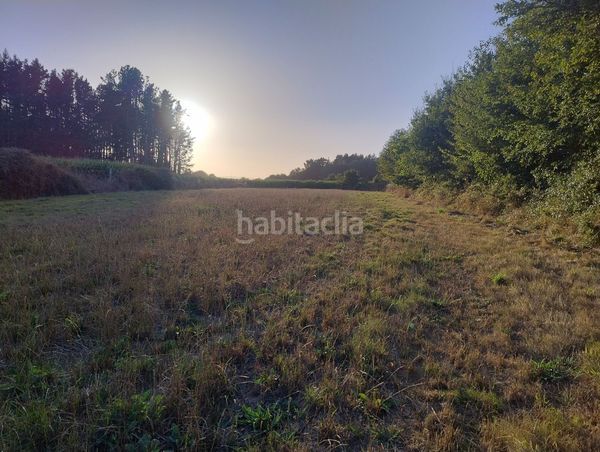 Foto ff20333d-2ea7-4877-b844-7f0333c69dc8. Finca rústica a lugar nadela 21 a Parroquias del Este Lugo