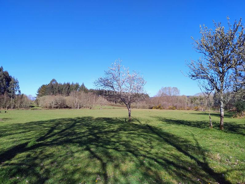 Foto b0bf8241-f022-421c-ac85-674afbc3f24a. Casa a Begonte