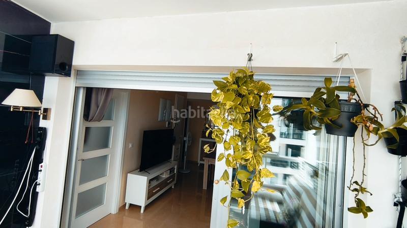 Foto e03ea57e-4bfb-4228-a16d-a56aa553a588. Piccolo appartamento con parcheggio piscina in Cala Blanca Oropesa del Mar