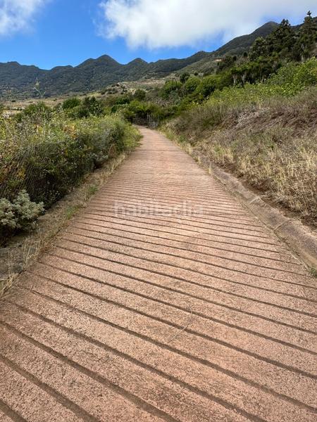 Foto 0b80f443-351a-4d33-801d-17b6bef3cd79. Fondo rustico in El Palmar Vejer de la Frontera