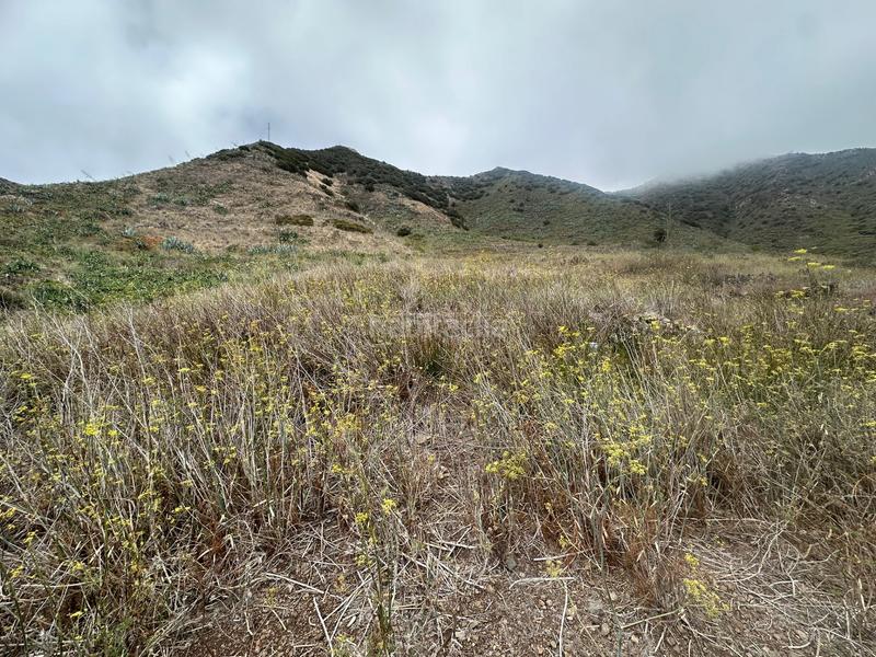 Foto 23d5f182-5794-4cd7-a0b1-bf1c77e7f904. Fondo rustico in El Palmar Vejer de la Frontera