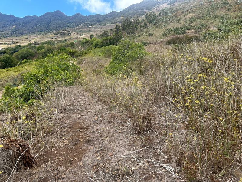Foto 514b9b7a-003e-4d52-9923-657d085fcefe. Finca rústica a El Palmar Vejer de la Frontera