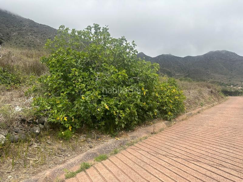 Foto e020bce5-f11c-4381-9bb5-74675f9a54a5. Finca rústica a El Palmar Vejer de la Frontera