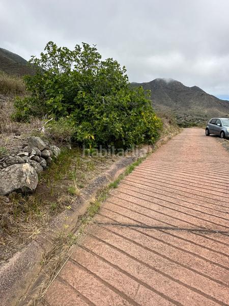 Foto f3b0a3aa-635c-436f-be32-246fbffba83a. Finca rústica a El Palmar Vejer de la Frontera