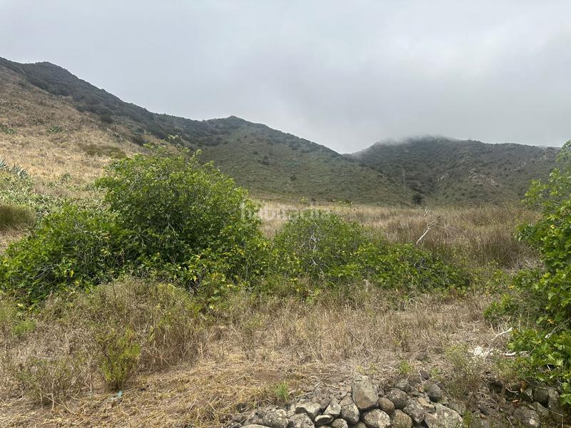 Foto 287de566-88b1-491f-a15e-e167a6a4eede. Finca rústica en El Palmar Vejer de la Frontera