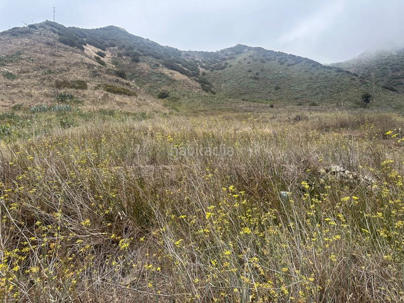 Foto ba1491f0-77ad-4d31-a954-df536be8c398. Finca rústica en El Palmar Vejer de la Frontera