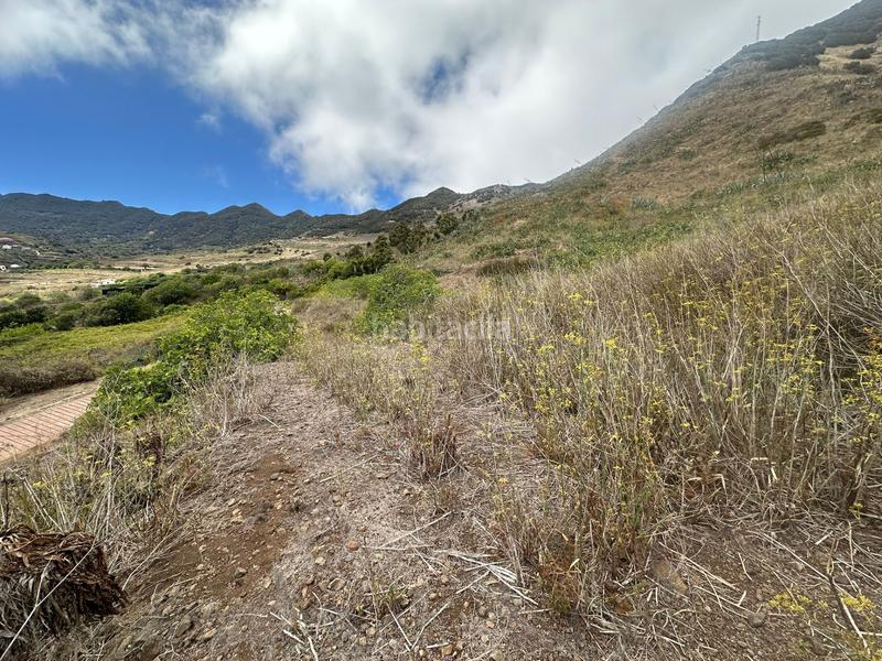 Foto f21317ae-f261-4366-839f-af2f1541fd23. Finca rústica en El Palmar Vejer de la Frontera