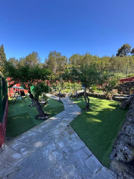 Foto 641813af-aff7-49f3-b5c7-143091b0f9a8. Landgut in La Vega - El Amparo - Cueva del Viento Icod de los Vinos