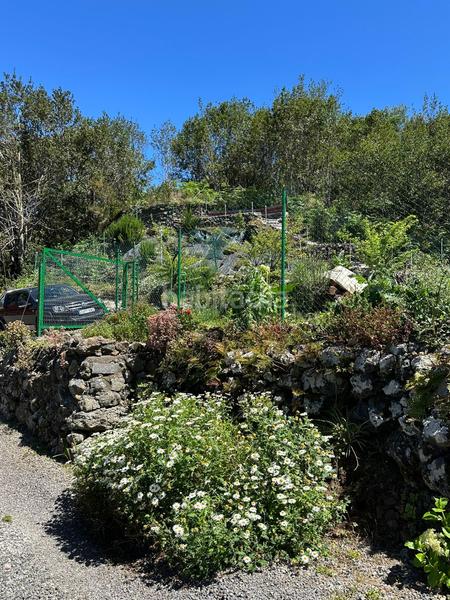 Foto dc4537d5-9615-487c-aa60-22ff999ac8b9. Landgut in La Vega - El Amparo - Cueva del Viento Icod de los Vinos
