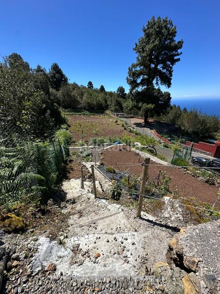 Foto afef51c6-a98c-483b-b0a5-2583d3aa5d43. Propriété dans La Vega - El Amparo - Cueva del Viento Icod de los Vinos