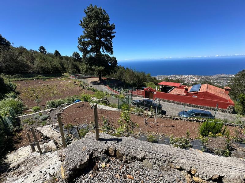 Foto bd64c01e-e508-4575-be4a-1e5d79ff36b3. Propriété dans La Vega - El Amparo - Cueva del Viento Icod de los Vinos