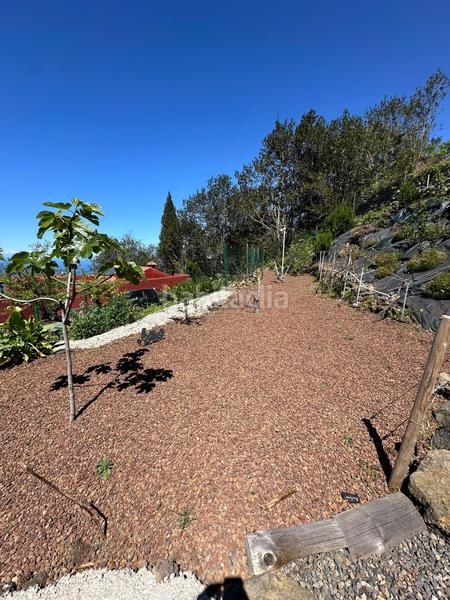 Foto f07e6faf-10d5-466a-bd4f-99416a367a91. Propriété dans La Vega - El Amparo - Cueva del Viento Icod de los Vinos