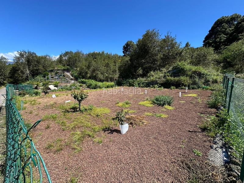 Foto 069bd449-ccd9-447d-96a8-1aeec054b62d. Finca rústica a La Vega - El Amparo - Cueva del Viento Icod de los Vinos