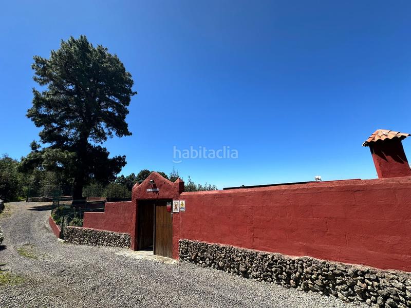 Foto 92eb7bcc-f7d9-46f9-9b68-bae98be44abd. Finca rústica a La Vega - El Amparo - Cueva del Viento Icod de los Vinos