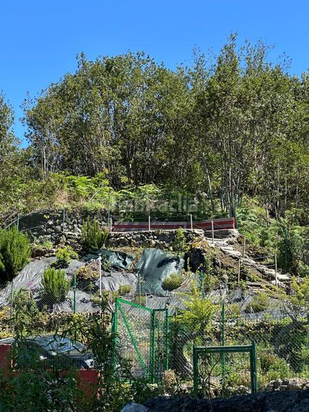 Foto 97d3a77f-4b62-4d19-8e12-f12bf59e6fa6. Finca rústica a La Vega - El Amparo - Cueva del Viento Icod de los Vinos