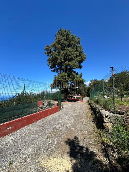 Foto a2752b9f-b4f4-41c6-b956-6ca5bd13ecde. Finca rústica a La Vega - El Amparo - Cueva del Viento Icod de los Vinos