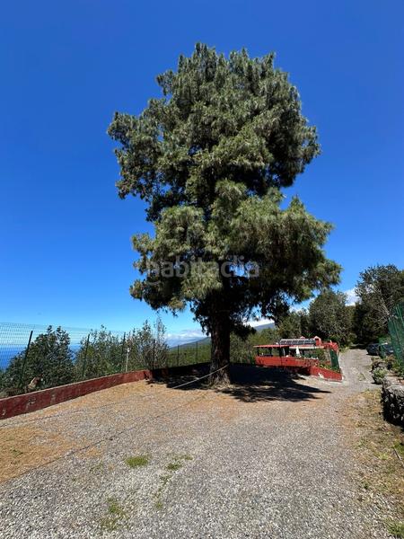 Foto af1f31f6-858f-4bfe-b426-366b40adca4b. Finca rústica a La Vega - El Amparo - Cueva del Viento Icod de los Vinos