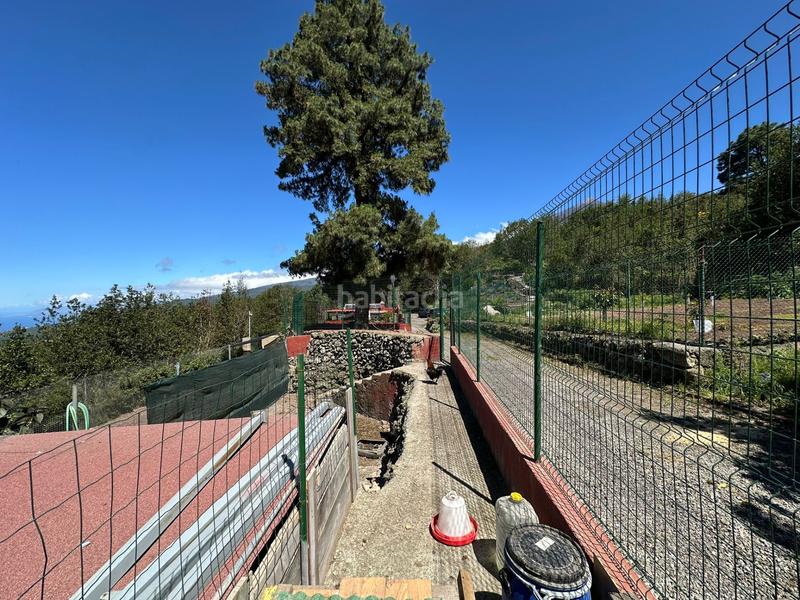 Foto cf07aee4-6044-42c6-8b02-d1d09090dc5c. Finca rústica a La Vega - El Amparo - Cueva del Viento Icod de los Vinos