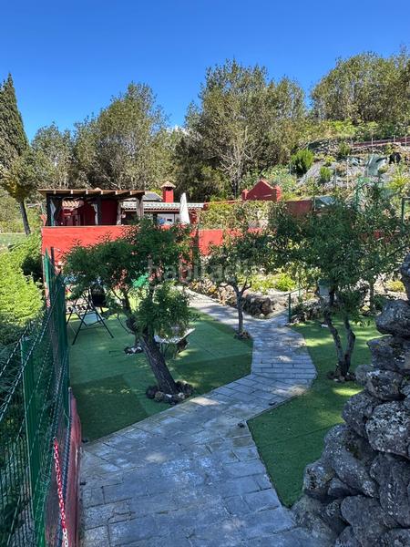 Foto d6b6ff68-299a-47b5-a159-733395dd201f. Finca rústica a La Vega - El Amparo - Cueva del Viento Icod de los Vinos