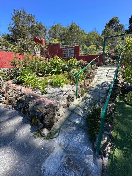 Foto e8e2a099-5a61-49f4-abb5-61bbeb25d8b6. Finca rústica a La Vega - El Amparo - Cueva del Viento Icod de los Vinos
