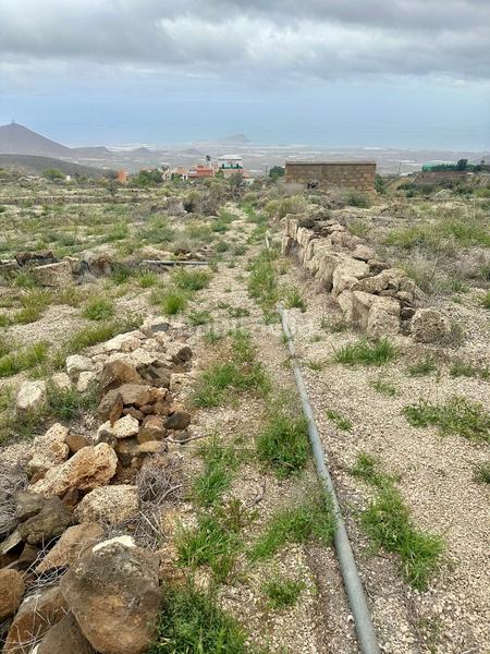 Foto 3606199b-07e1-48a2-ad60-acf47f488962. Fondo rustico in San Miguel San Miguel de Abona