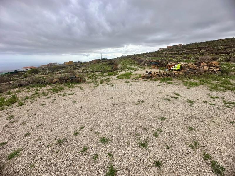 Foto cb002d80-7e0a-4b21-ac43-996c5601859f. Fondo rustico in San Miguel San Miguel de Abona