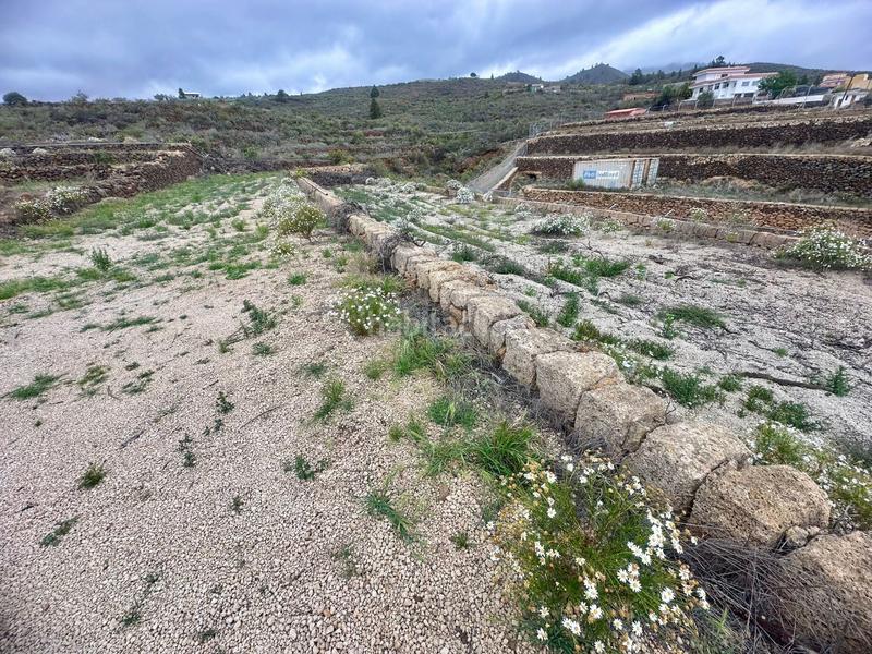 Foto 550f1d4f-6e9a-4fad-b4a6-e1b1ed81a588. Propriété dans San Miguel San Miguel de Abona