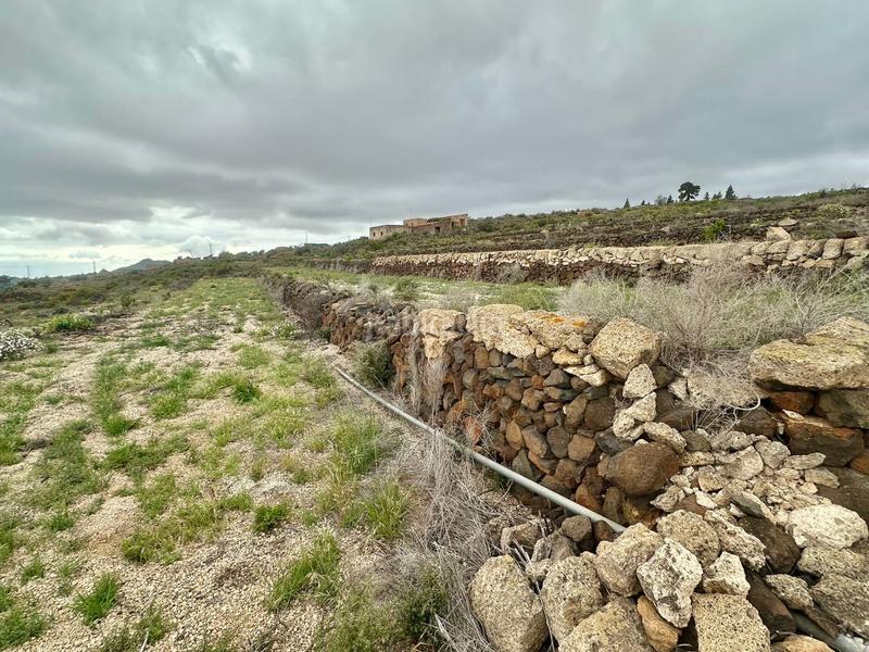 Foto ec0970b2-e61a-4fc3-8980-f7bf4673012b. Propriété dans San Miguel San Miguel de Abona