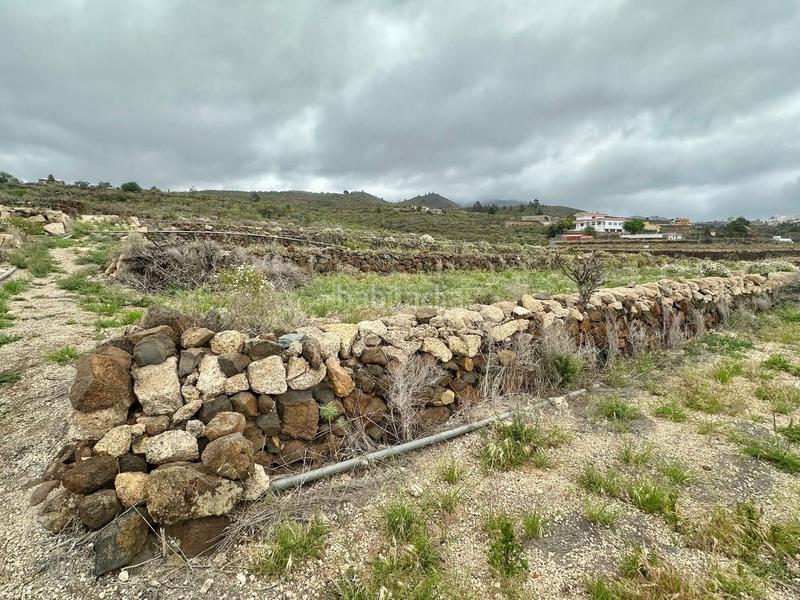 Foto a3c93175-c11b-473d-85f4-1ea51e12744e. Finca rústica a San Miguel San Miguel de Abona