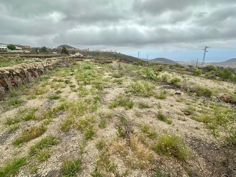 Foto acb5195f-bc65-4d1c-a51f-2244deac6fd0. Finca rústica a San Miguel San Miguel de Abona