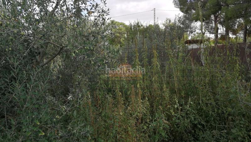 Foto 44e8e112-5c4d-4443-9c07-6dd10f5c93dd. Chalet mit parking in Pedanías - Extrarradio Albacete