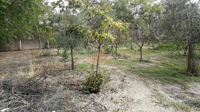 Foto 90c2a32d-1ea6-46ed-9a62-929afa9373af. Chalet mit parking in Pedanías - Extrarradio Albacete