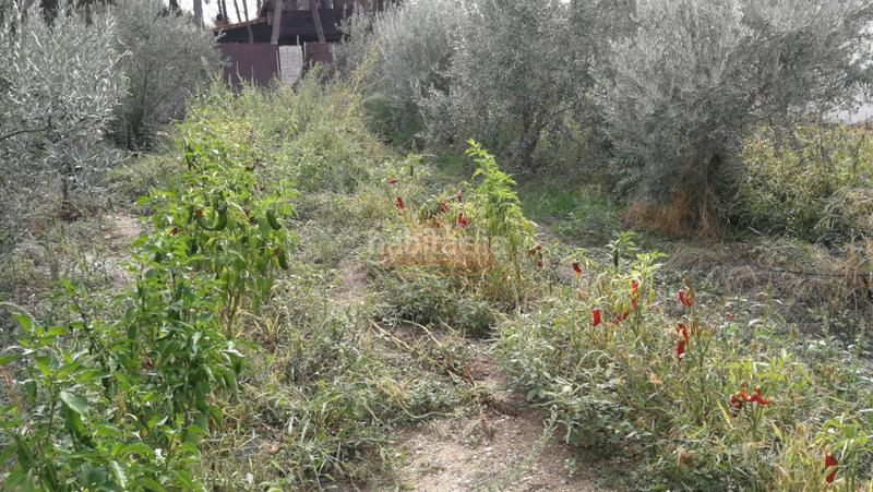 Foto b4858aea-d6eb-45e0-b224-7b361c3b3673. Chalet mit parking in Pedanías - Extrarradio Albacete