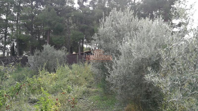 Foto fa0d455b-8ff2-439f-a723-89b0842506a0. Chalet mit parking in Pedanías - Extrarradio Albacete