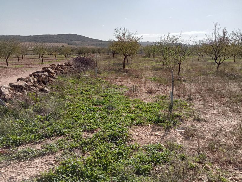Foto 0944b7b5-fc94-4b93-b29f-d23cf930fcf4. Casa amb aparcament a Lezuza