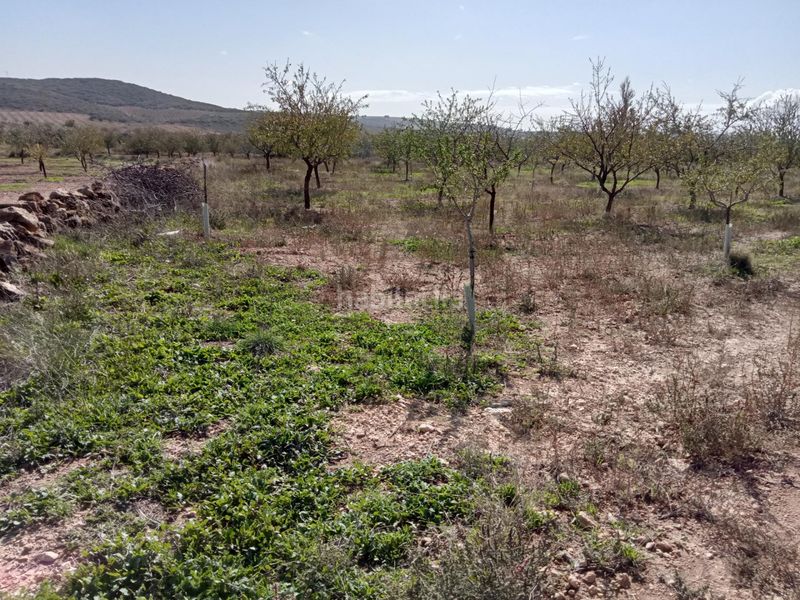 Foto 5f78b533-c212-4eee-8c59-e78f717bd78d. Casa amb aparcament a Lezuza