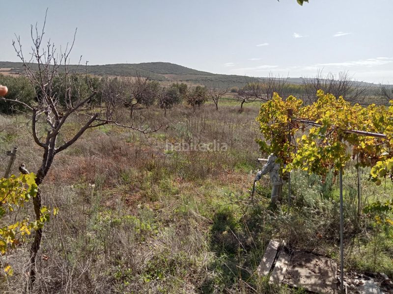 Foto 8b668439-c26d-4adc-8be4-48b116dbcede. Casa amb aparcament a Lezuza