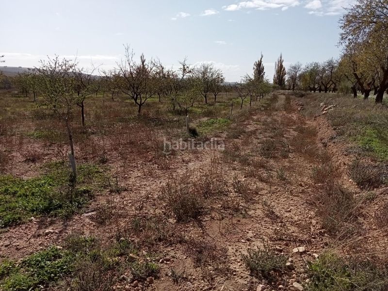 Foto abcef27b-cd14-4455-844b-b669ed545004. Casa amb aparcament a Lezuza