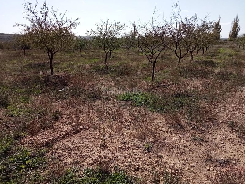 Foto ed4efd92-da78-46f4-83b7-1431d91792fe. Casa amb aparcament a Lezuza