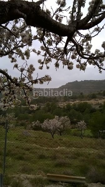 Foto e90fde2f-60fc-4933-86e4-b47e2dac15b4. Terreny residencial a Benissa pueblo Benissa